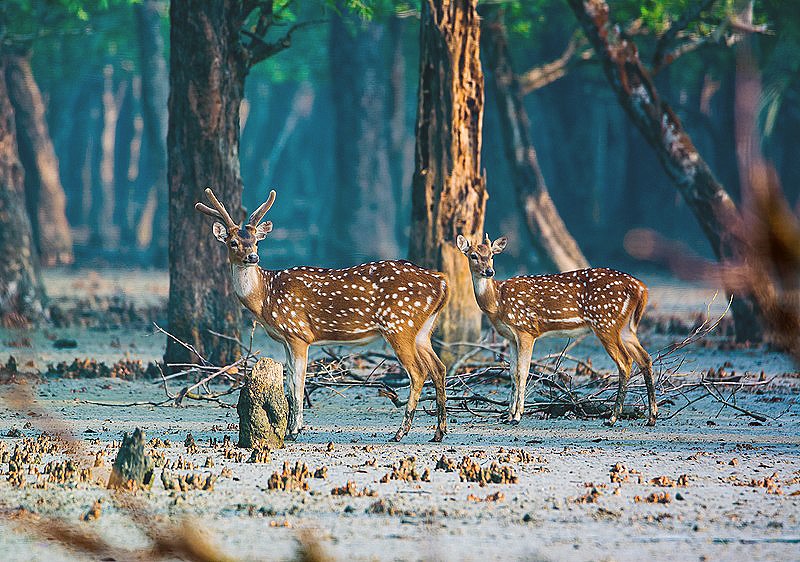 কক্সবাজার